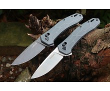 Kershaw 2042 Axis Lock Two Colors D2 Blade Folding Blade Hunting Camping Knife UD407632